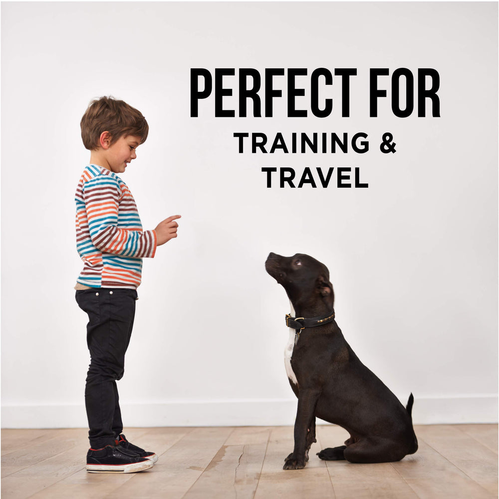 Natural Rapport USA-made dog treats badge indicating trusted ingredients