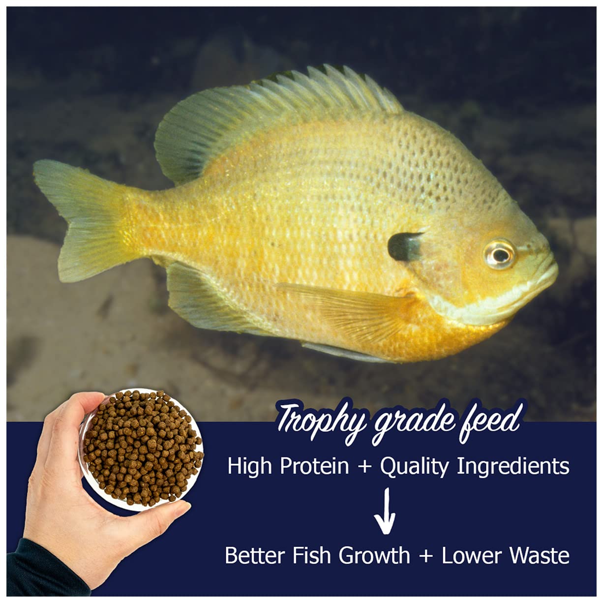 Natural Waterscapes automated feeder compatible pellets for hands-off pond feeding.