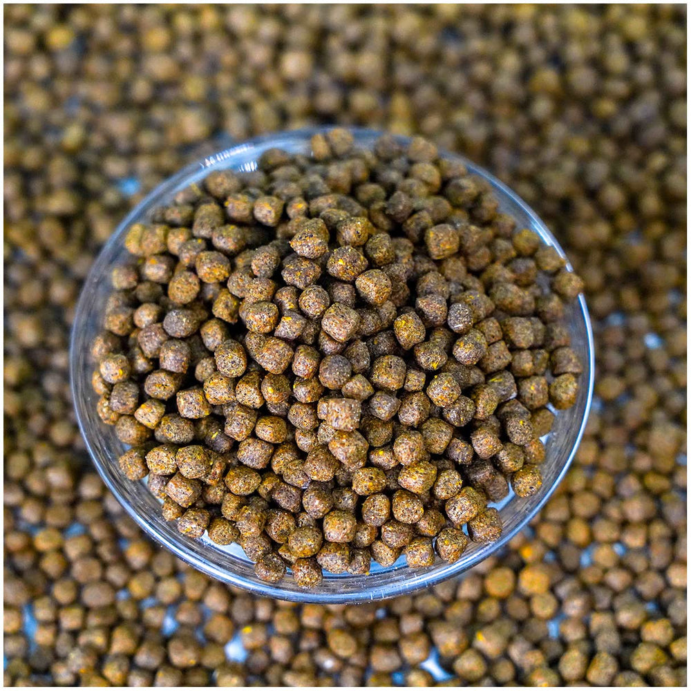 Natural Waterscapes high-protein ingredients promote growth and appetite in pond fish.