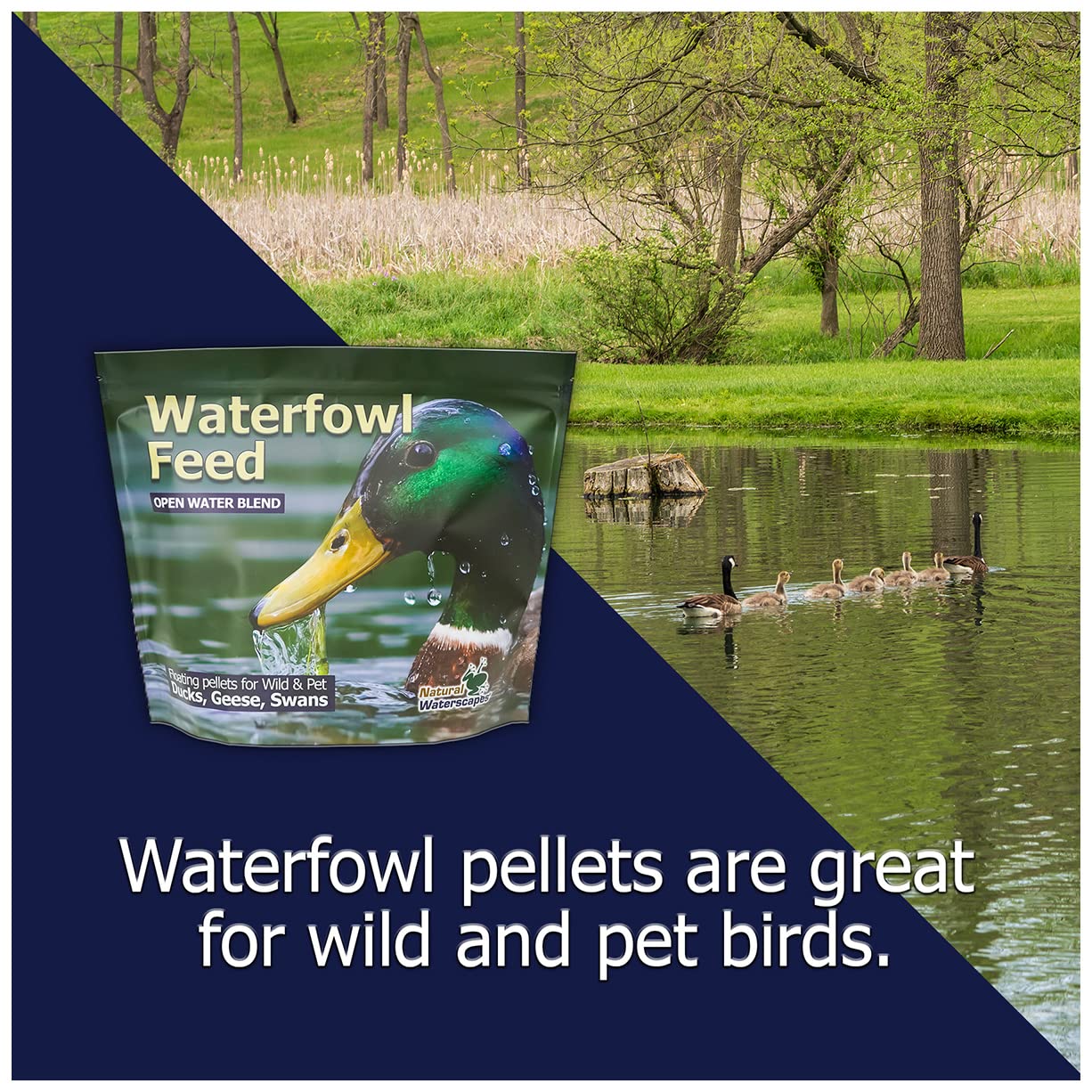 Natural Waterscapes pellets shown with ducks at a park feeding scene.