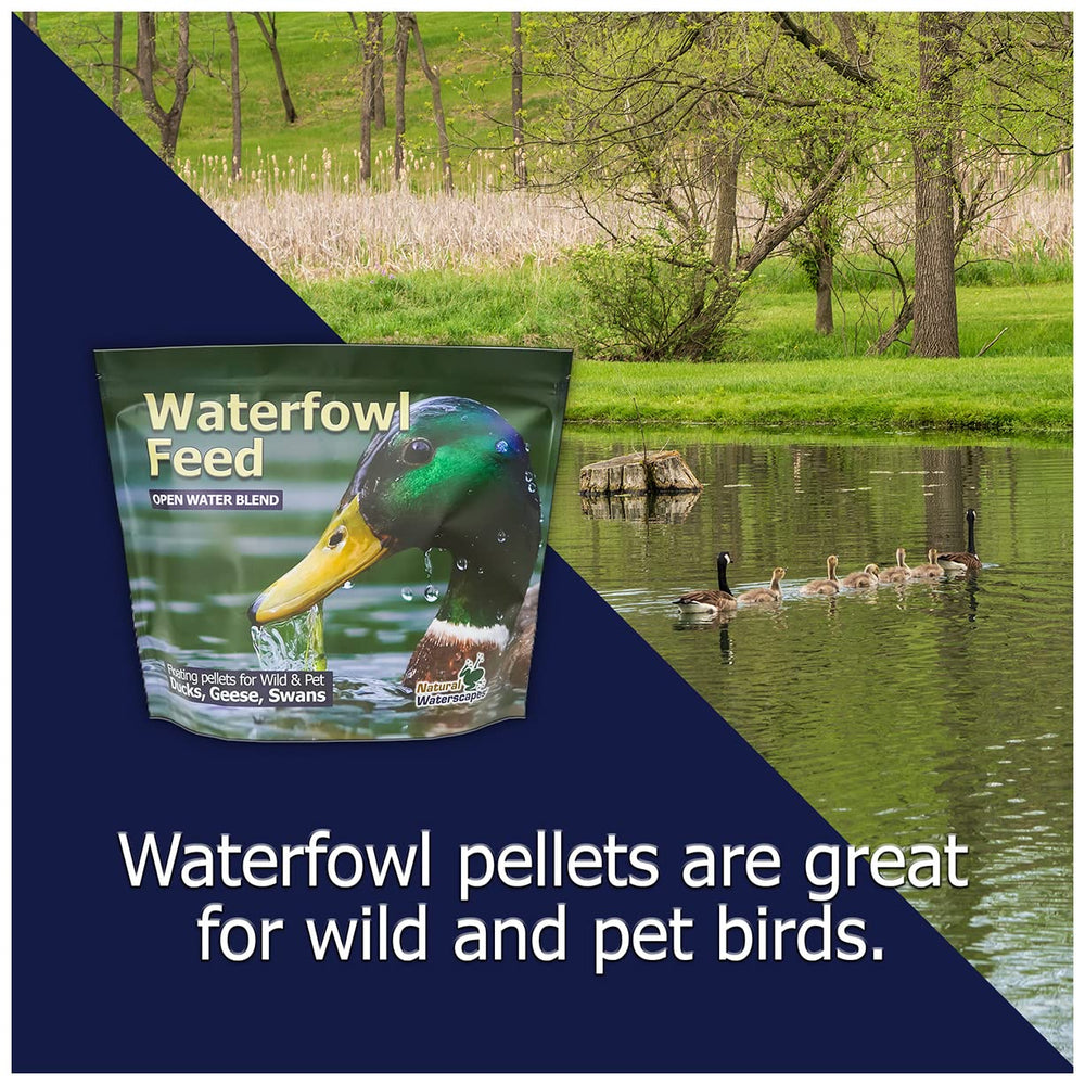 Natural Waterscapes pellets shown with ducks at a park feeding scene.
