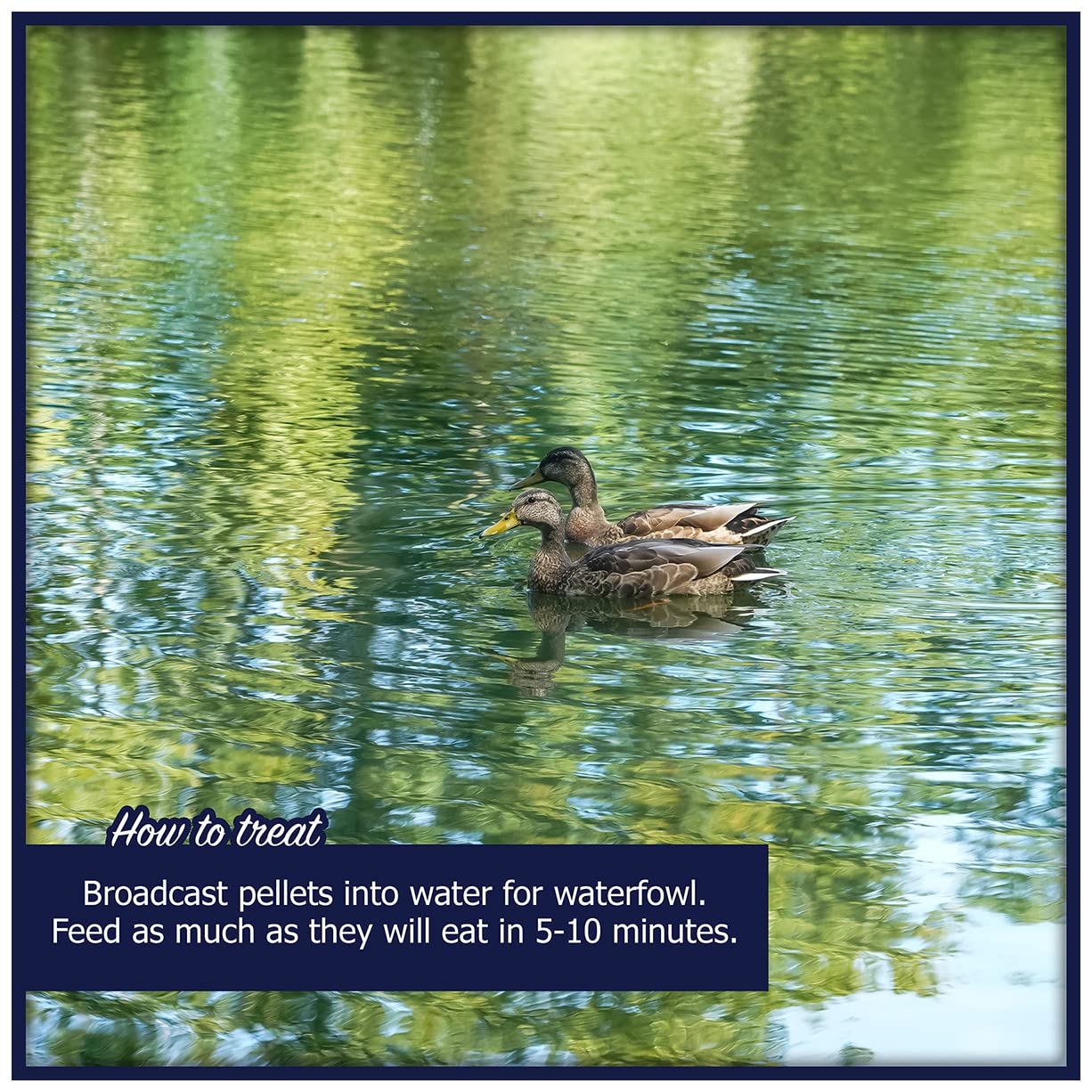 Natural Waterscapes fishmeal-based pellets provide protein for waterfowl.
