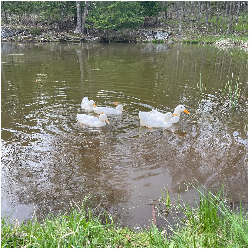 Natural Waterscapes Waterfowl Feed storage tips ensure freshness and long shelf life