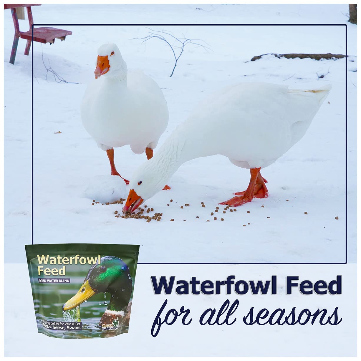 Natural Waterscapes feed suitable for wild and pet ducks at ponds.