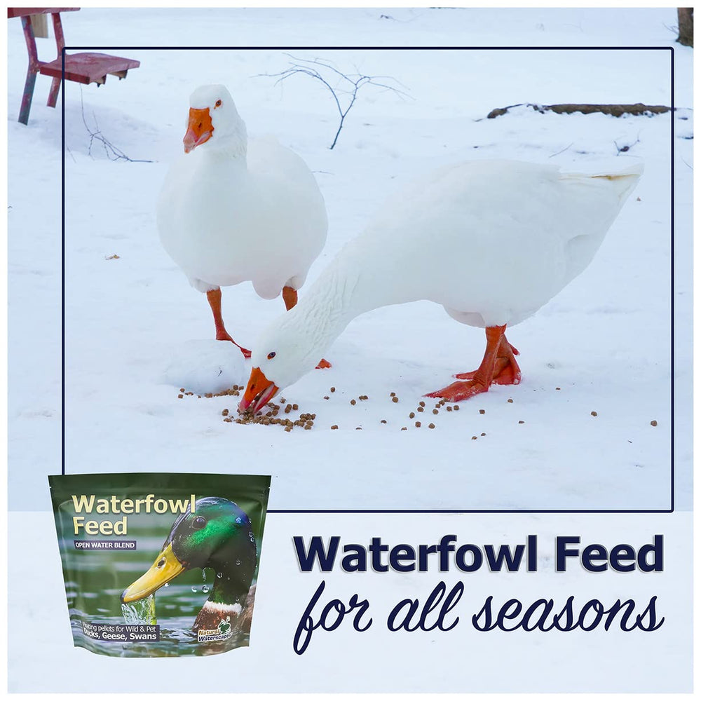 Natural Waterscapes feed suitable for wild and pet ducks at ponds.