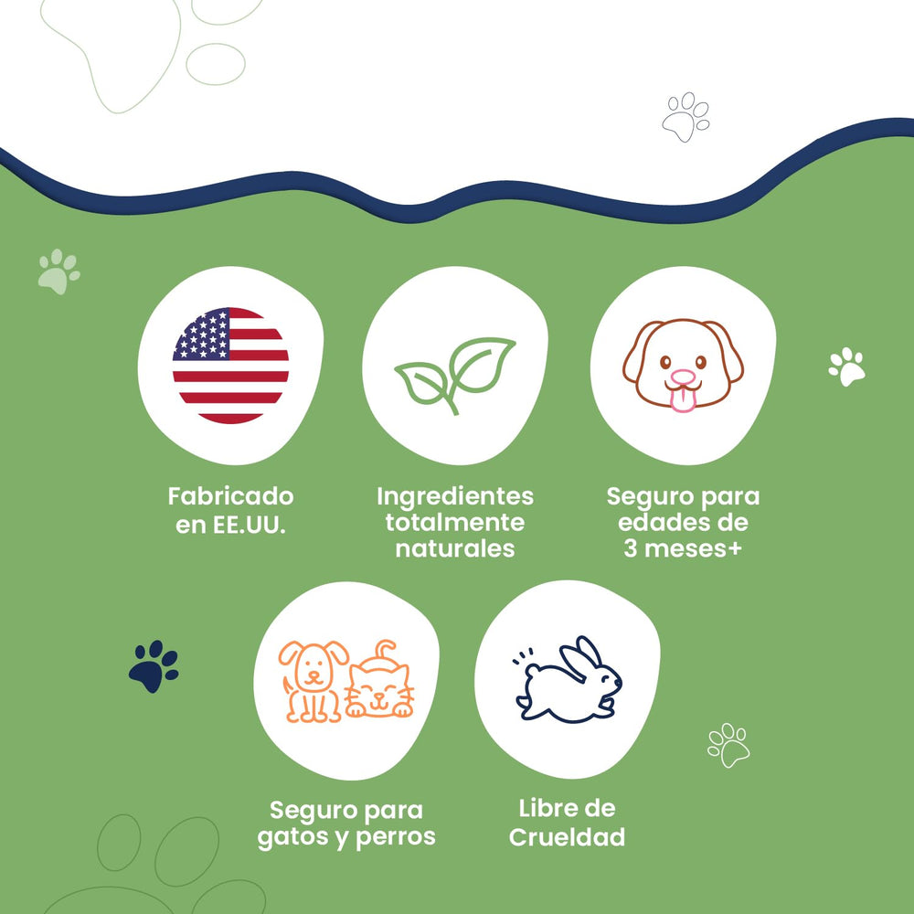 Naturasil Pet Mange aftercare supports continued comfort as symptoms improve.