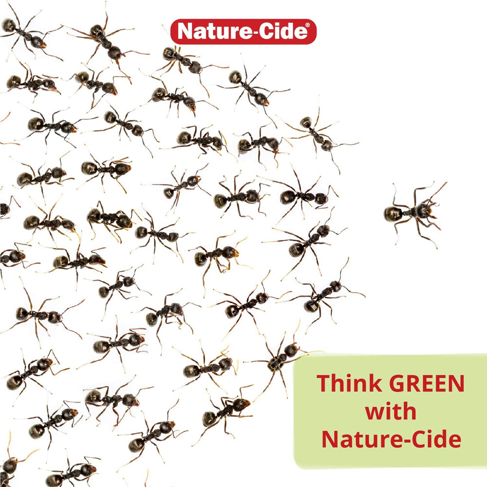 Nature-Cide Flea & Tick room spray applied to furniture and walls.
