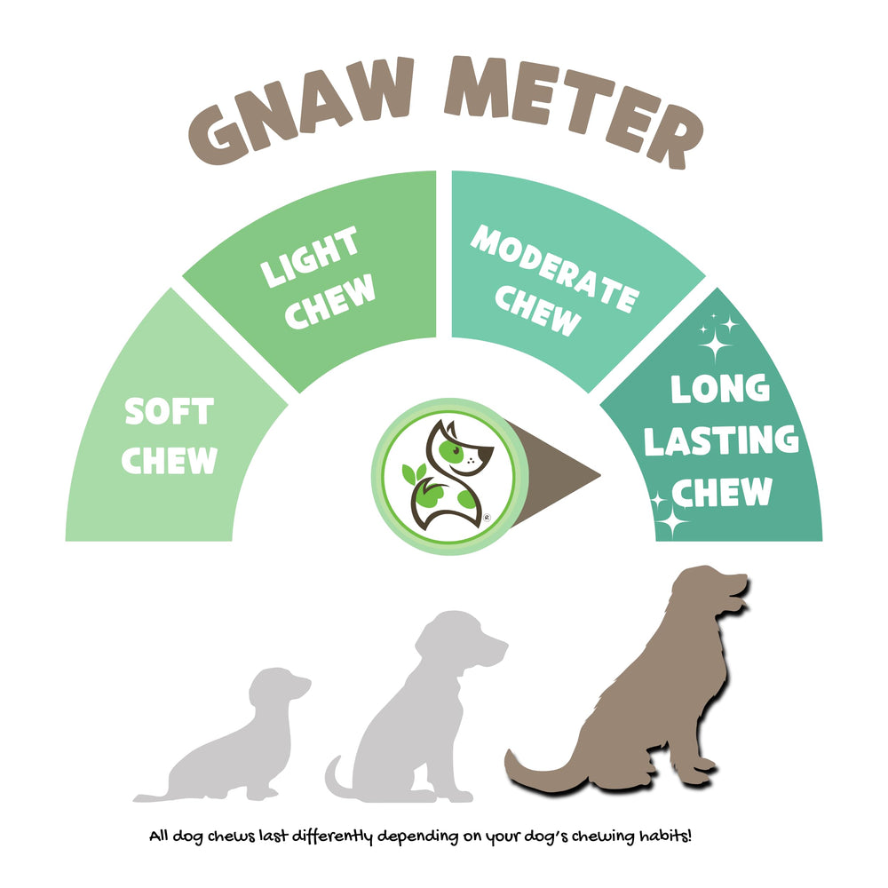 Nature Gnaws large bully sticks 10-count pack — durable chews for big dogs.