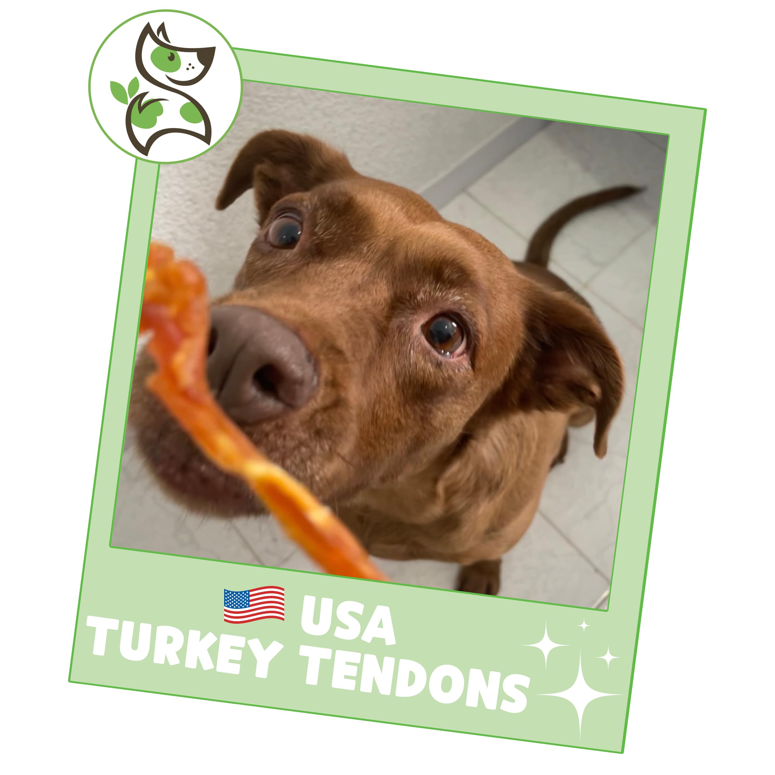 Nature Gnaws USA Turkey Tendons are great for big and active dogs seeking a durable chew.