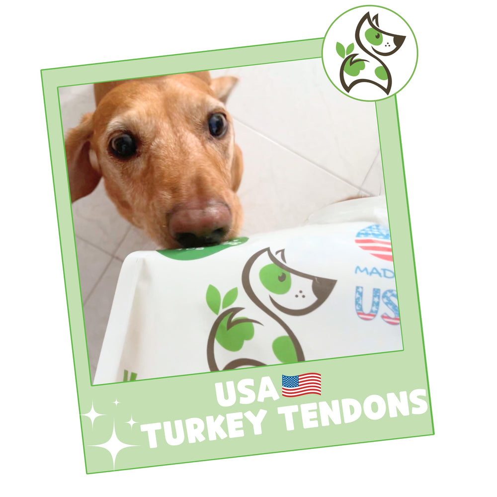 Nature Gnaws 1lb bag packaging indicates grain-free, USA-sourced turkey tendons.