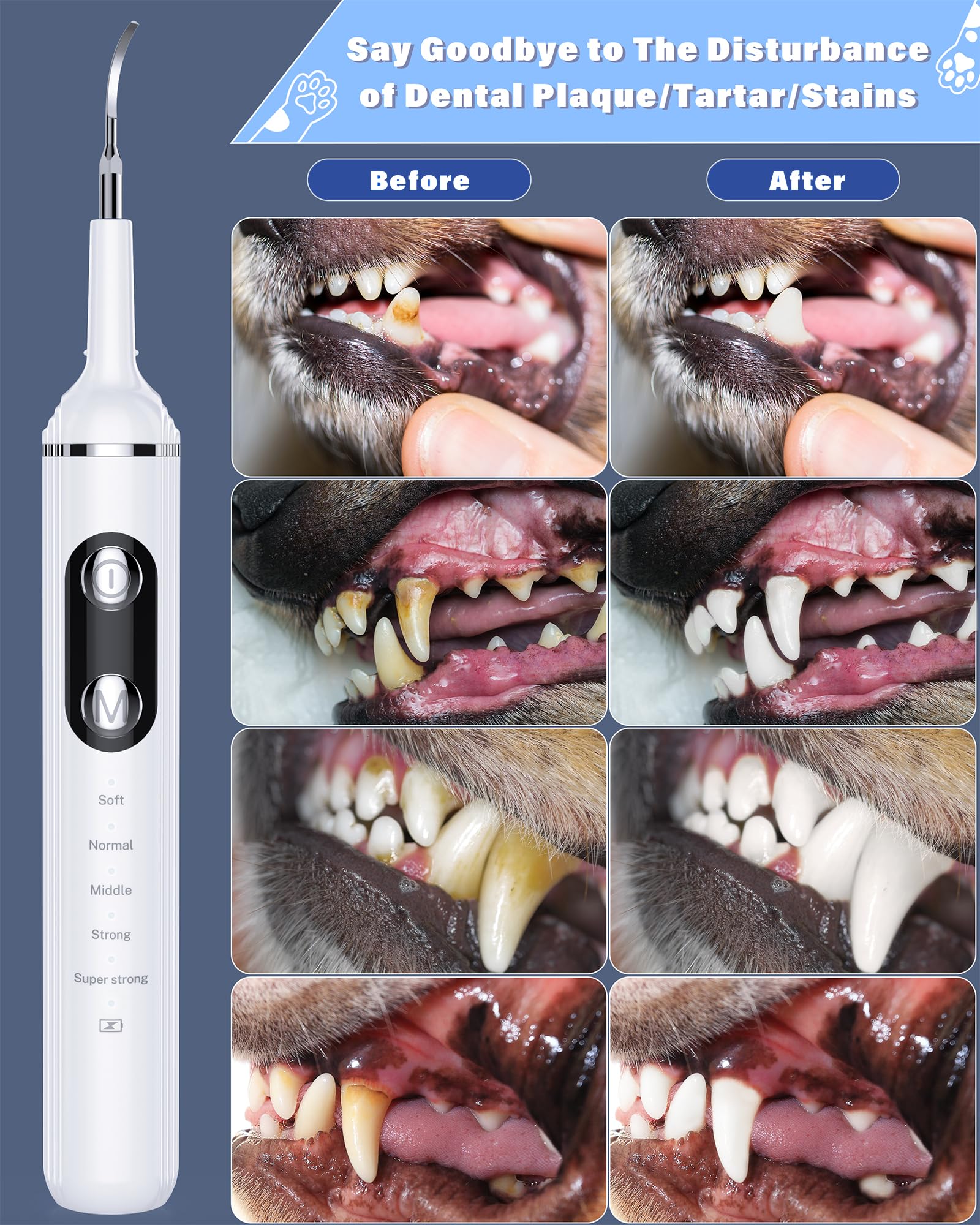 Nature Nerds kit with four replacement heads for versatile care.