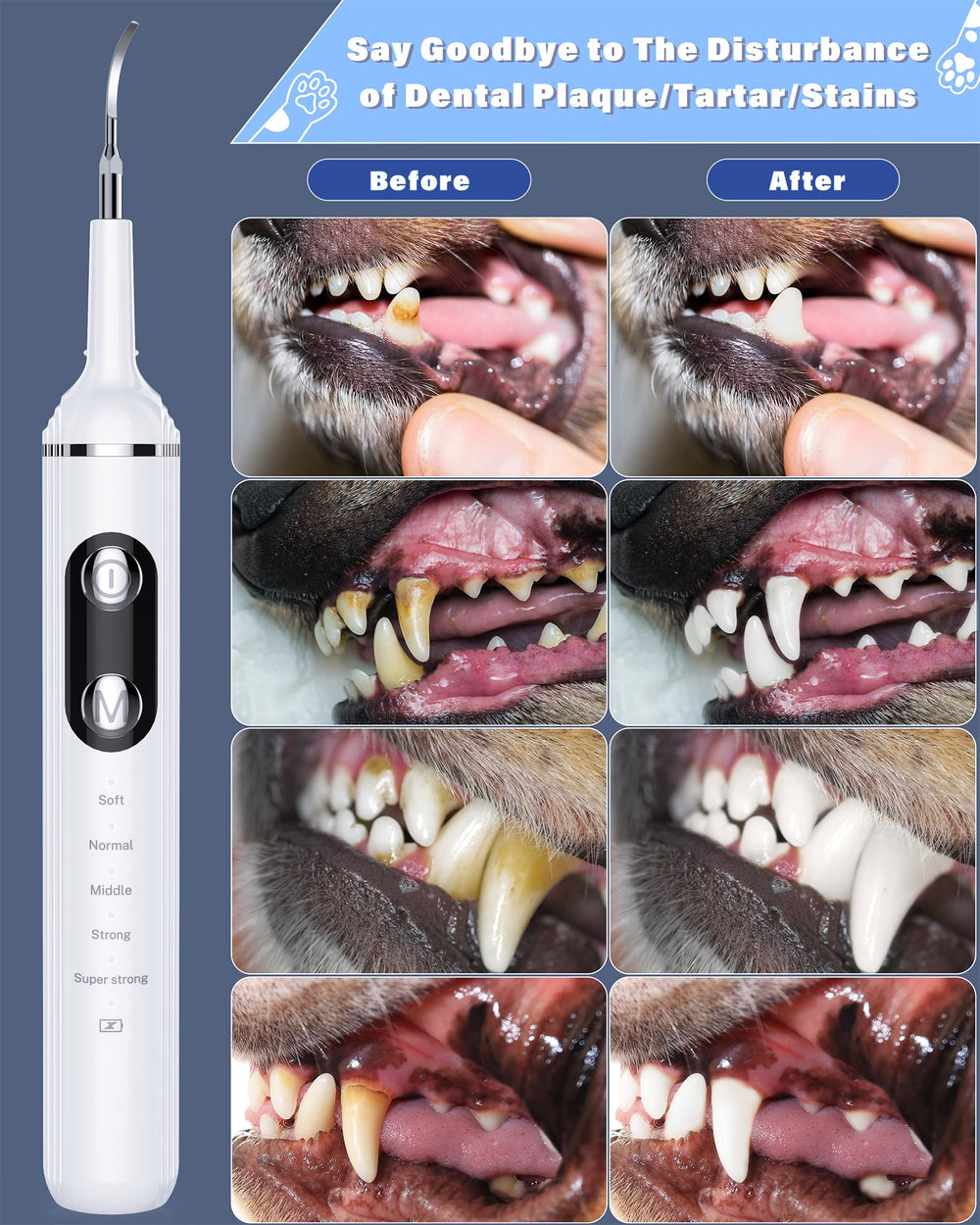 Nature Nerds kit with four replacement heads for versatile care.