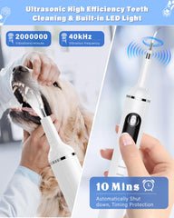Nature Nerds LED pet toothbrush in use for at-home cleaning.