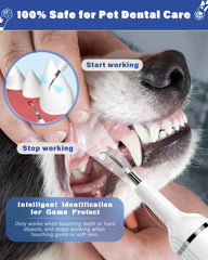 Nature Nerds plaque remover kit components laid out for home dental care.
