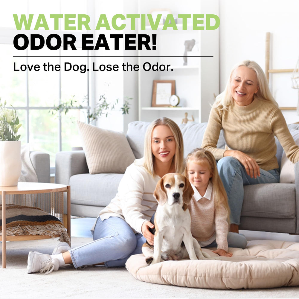Nature's Pure Edge long-lasting freshness for homes and facilities