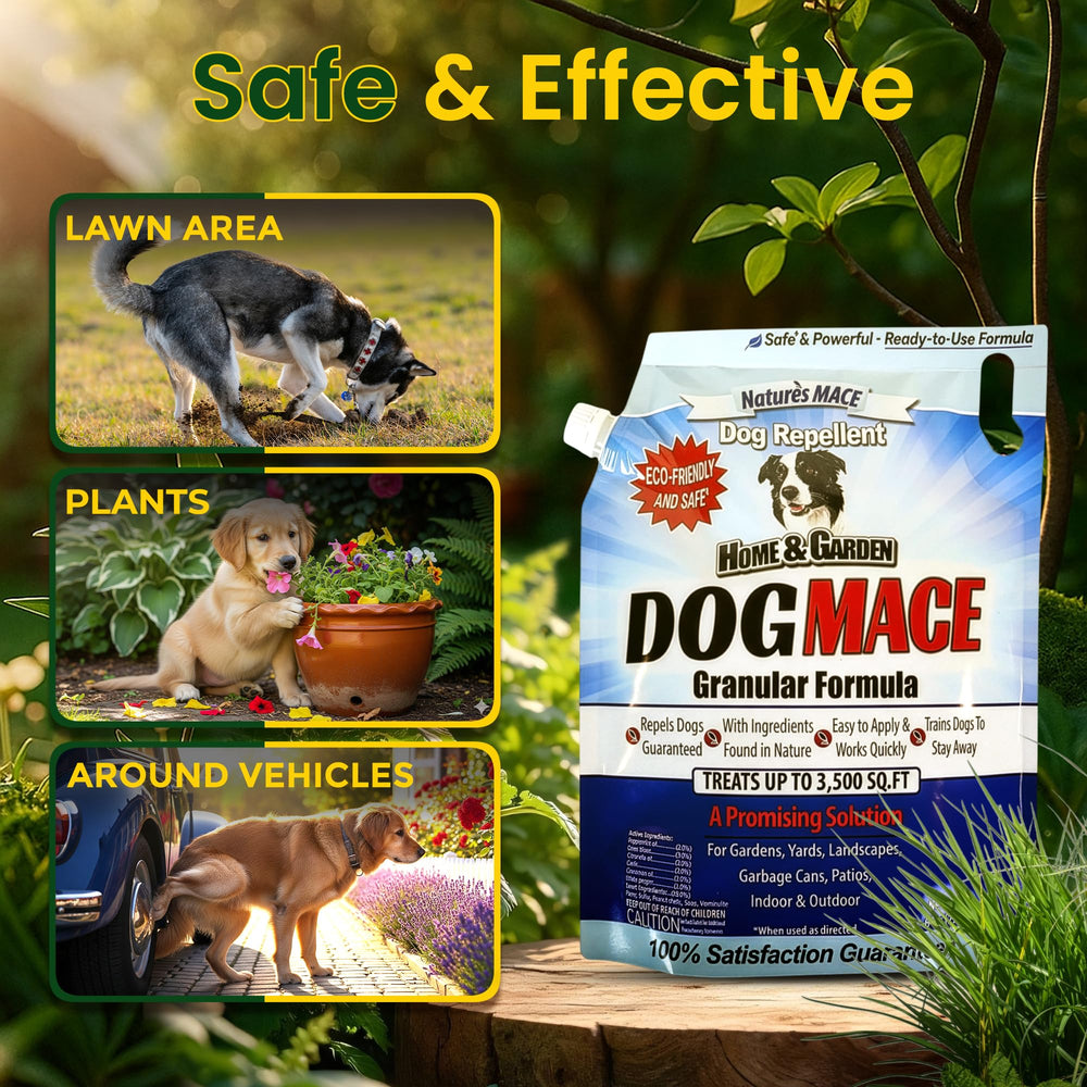 Nature's MACE Dog Mace granules in garden beds deterring dogs from flowers