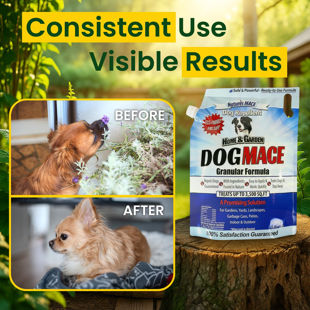 Nature's MACE Dog Mace granular formula offers year-round protection