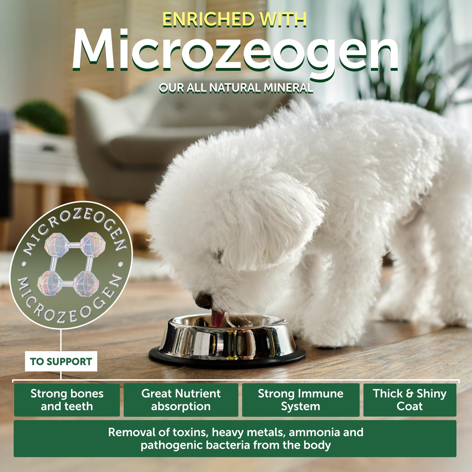 Nature's Protection white-fur dog close-up suggests a coat-friendly diet for brighter fur.