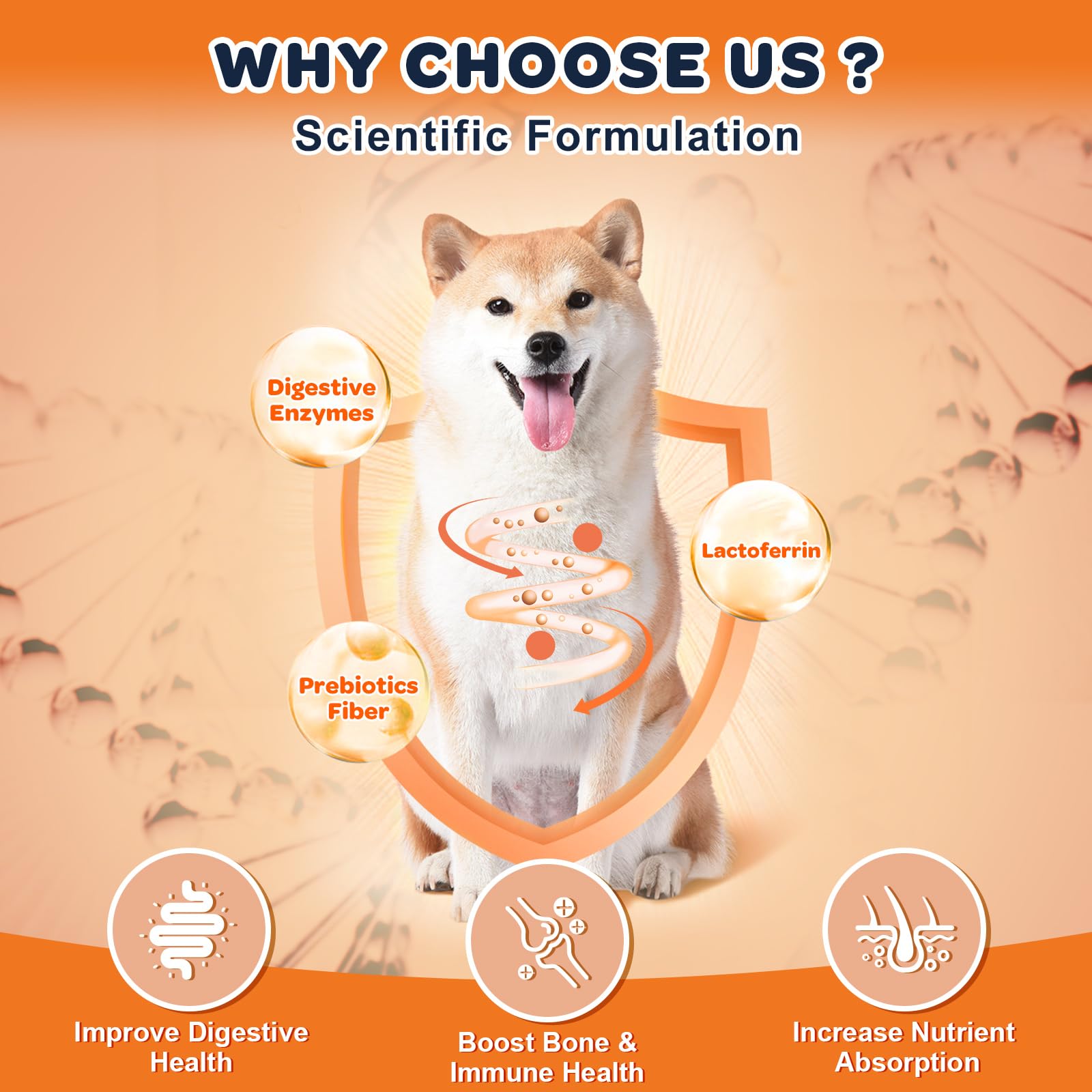 Nature Target calcium magnesium support healthy bones in dogs.