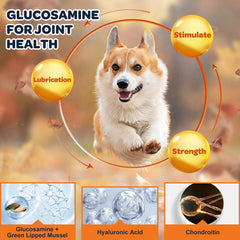 Nature Target chicken-flavored chews close-up emphasizing tasty texture for dogs.