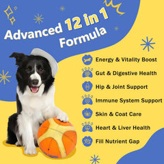 Nature Target dog multivitamins close-up freeze-dried chews with rich nutrients