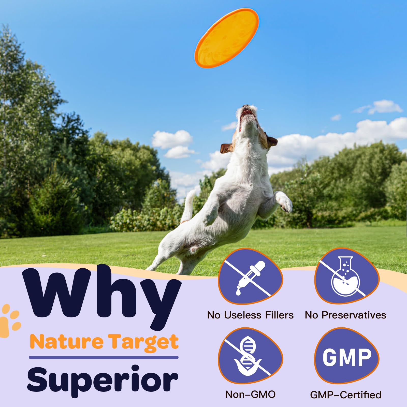Nature Target dog probiotics may support skin and coat health