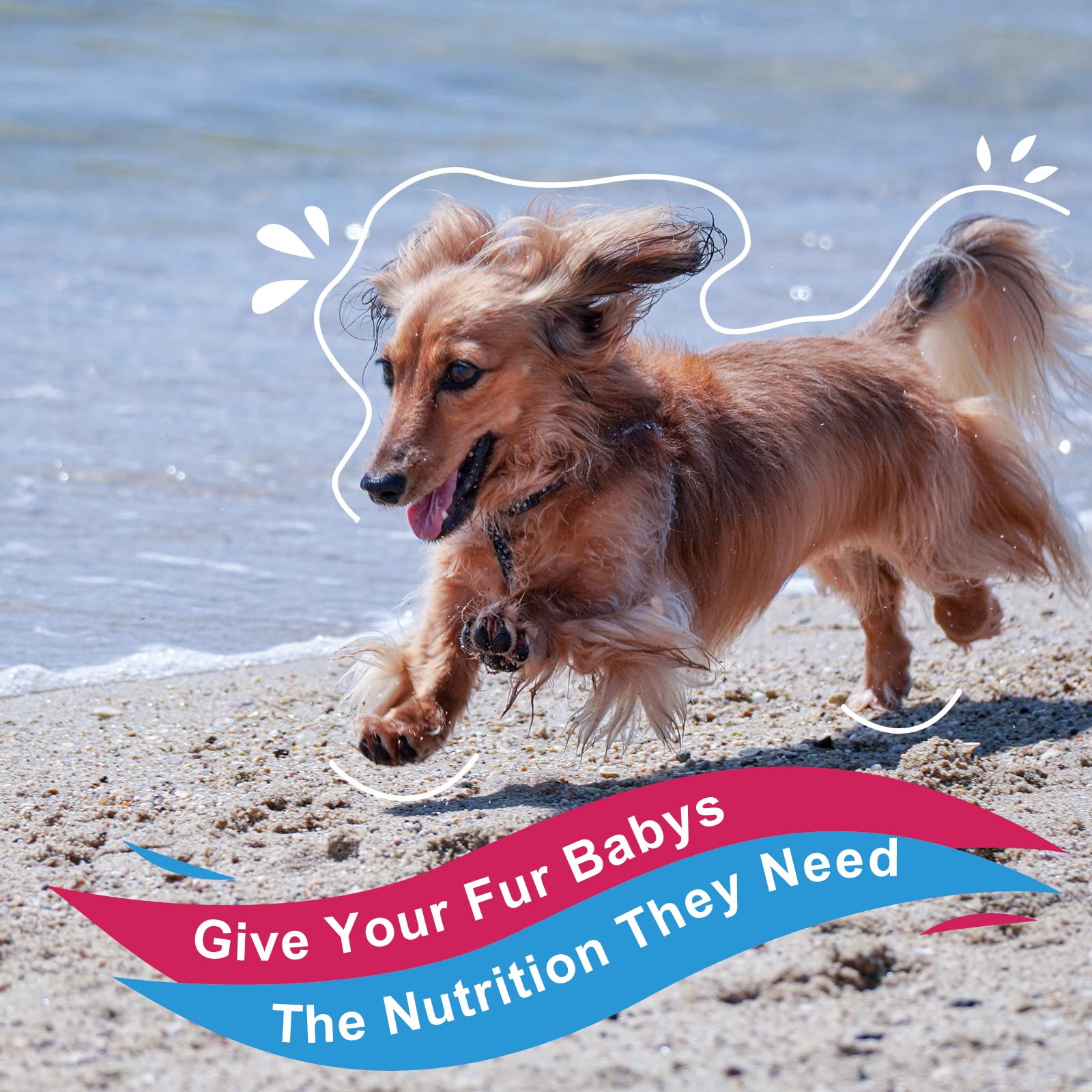 Nature Target dog vitamins powder 90-servings package shows long-lasting supply