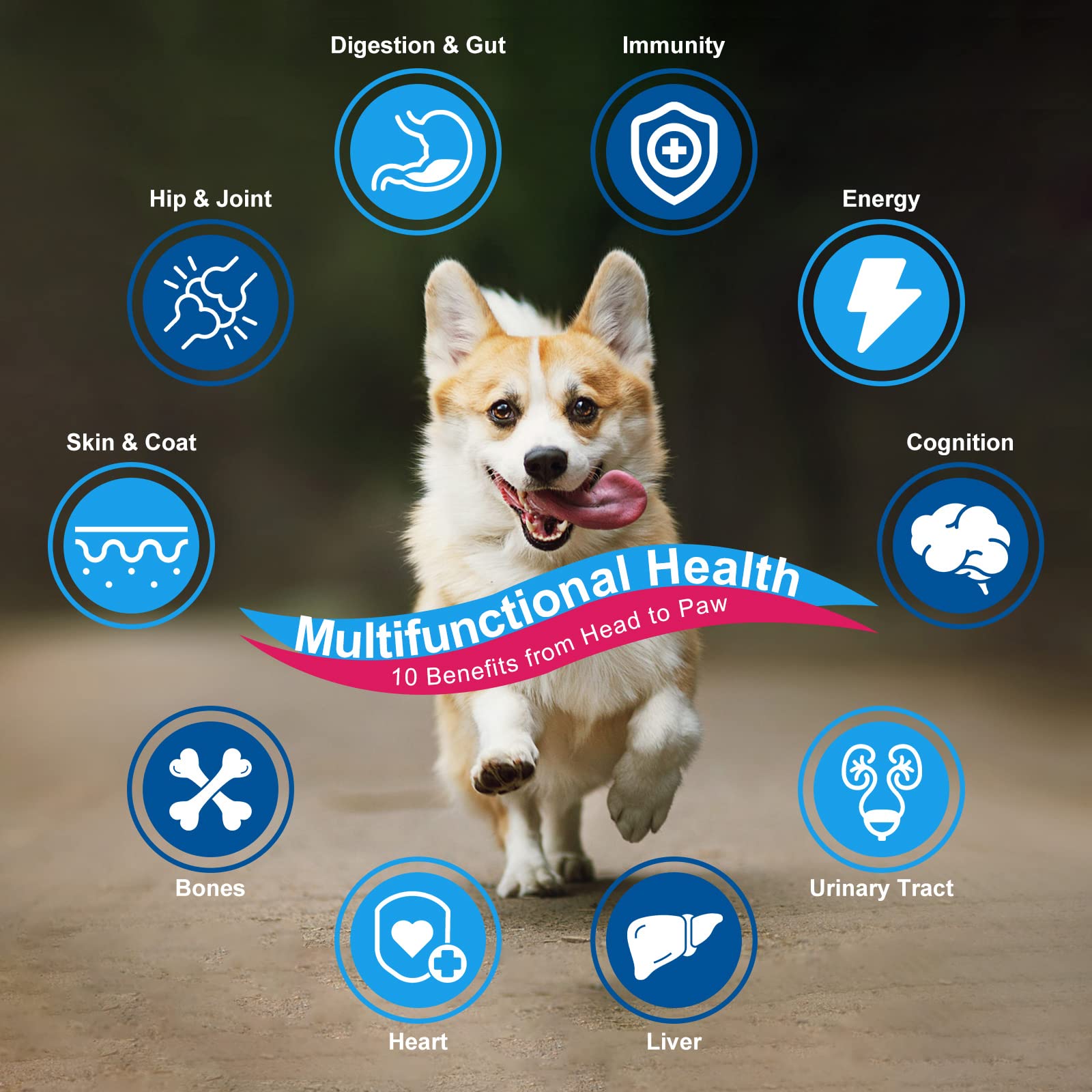 Nature Target dog vitamins powder dosing scoop for convenient daily use