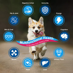Nature Target dog vitamins powder dosing scoop for convenient daily use