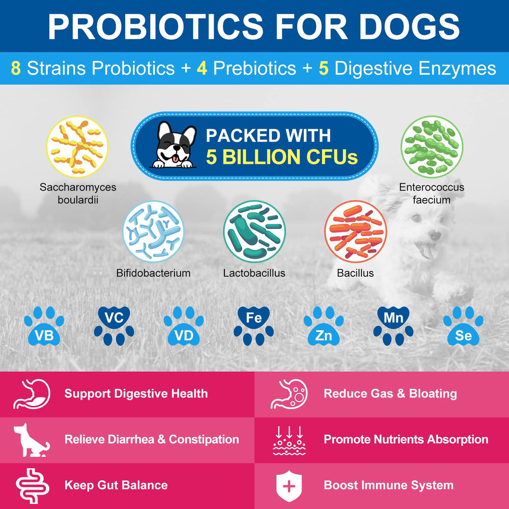 Nature Target dog vitamins powder pouring into dog food for simple integration