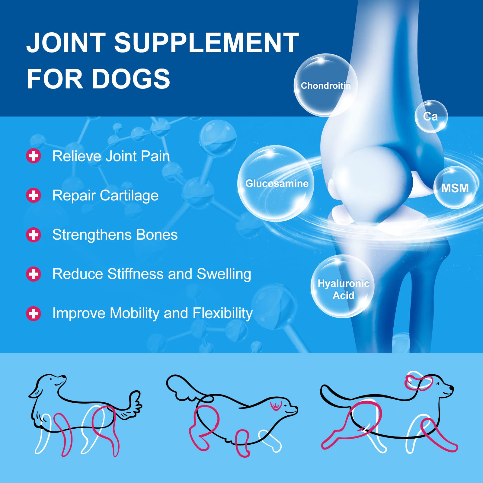 Nature Target dog vitamins powder probiotics section highlights 5B CFUs and 8 strains
