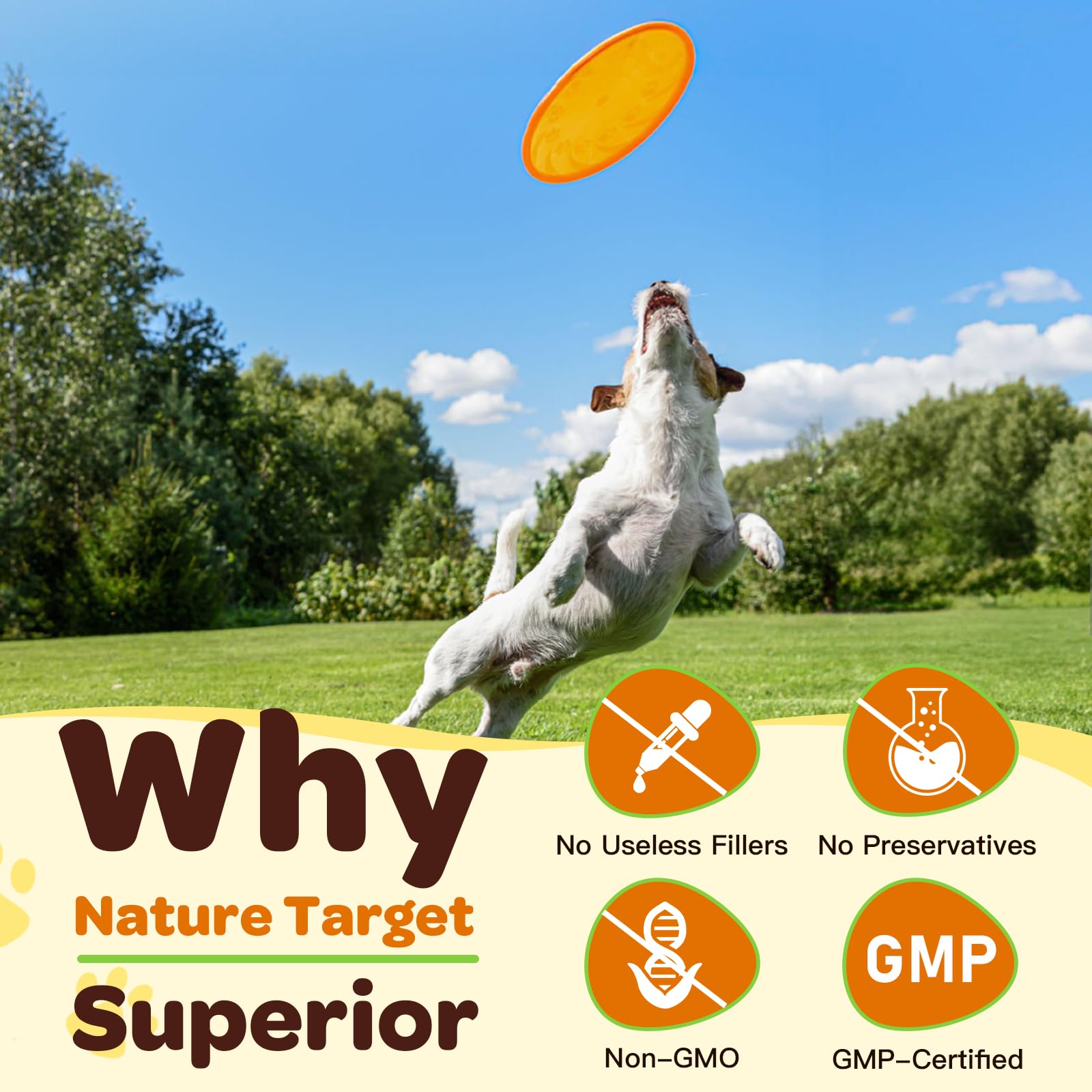 Nature Target dogs coat health supplement — salmon and liver protein boost
