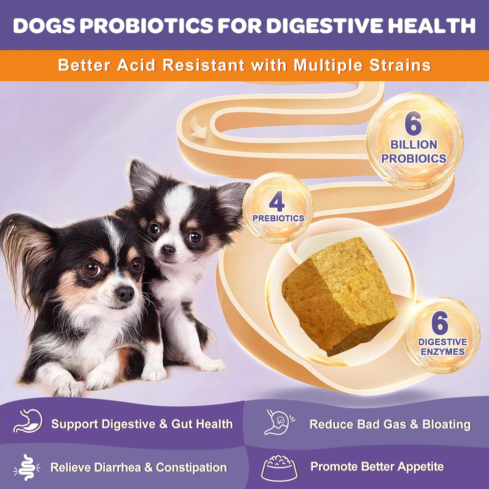 Nature Target freeze-dried probiotics close-up highlights stable, potent strains for gut balance.