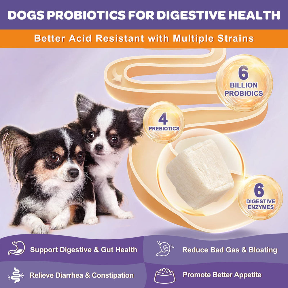Nature Target Probiotics for Dogs – 6B CFUs close-up for robust probiotic power.