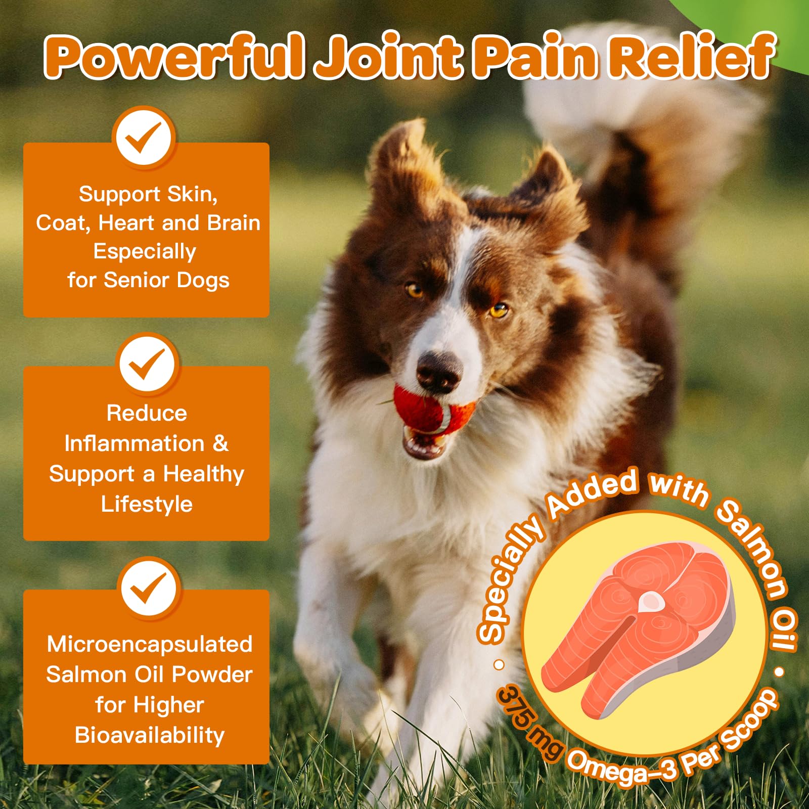 Nature Target turmeric blend for dogs may support healthy inflammatory balance
