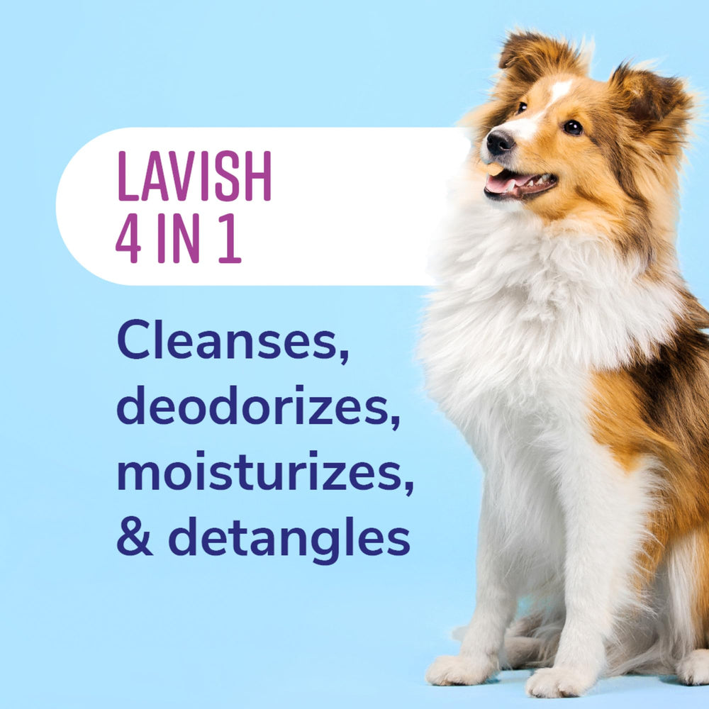 Naturel Promise dog coat after bath with silky shine and detangling benefit.