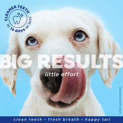 Naturel Promise Fresh Dental 3-pack packaging for budget-friendly daily dog care