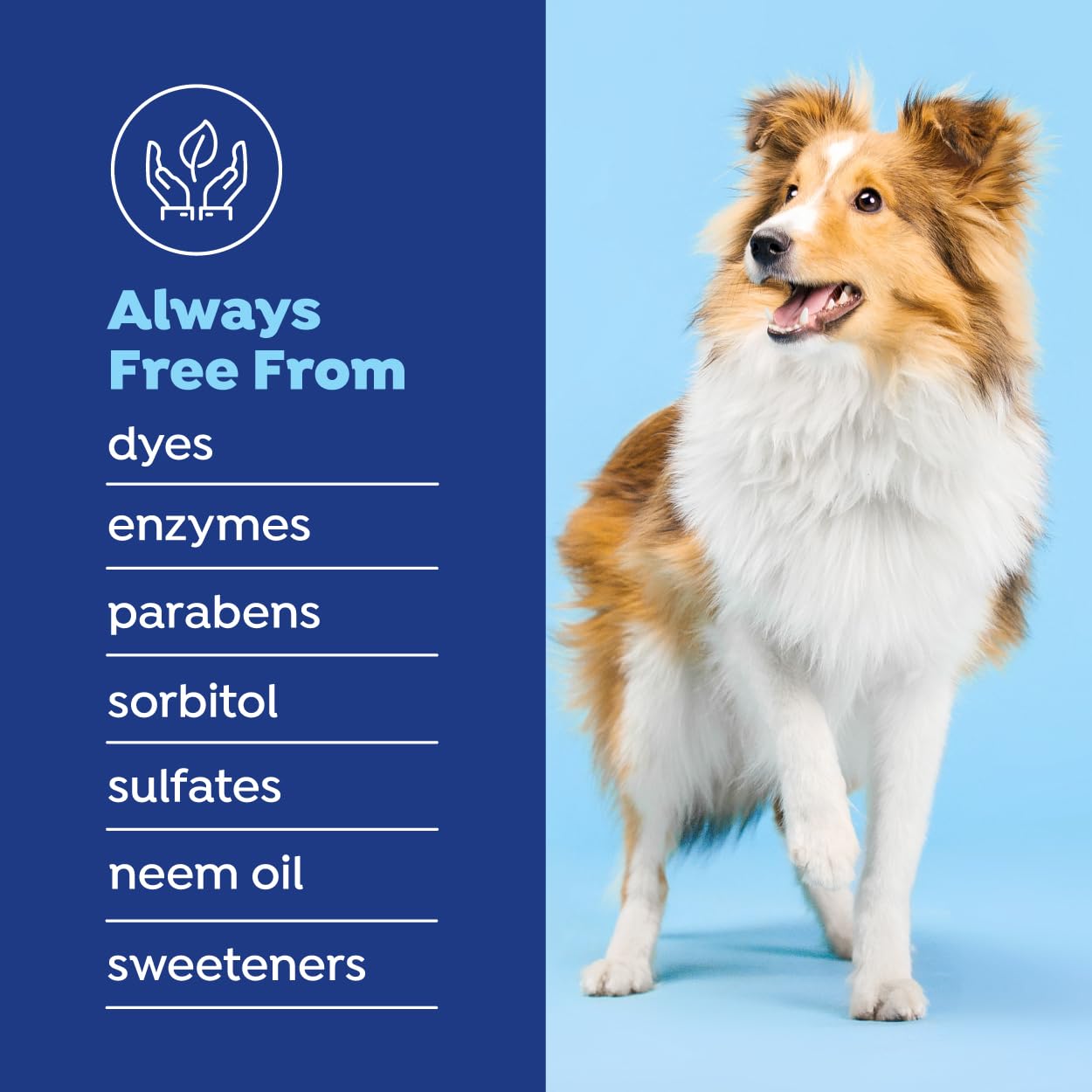 Naturel Promise Fresh Dental dog using the water additive in the bowl