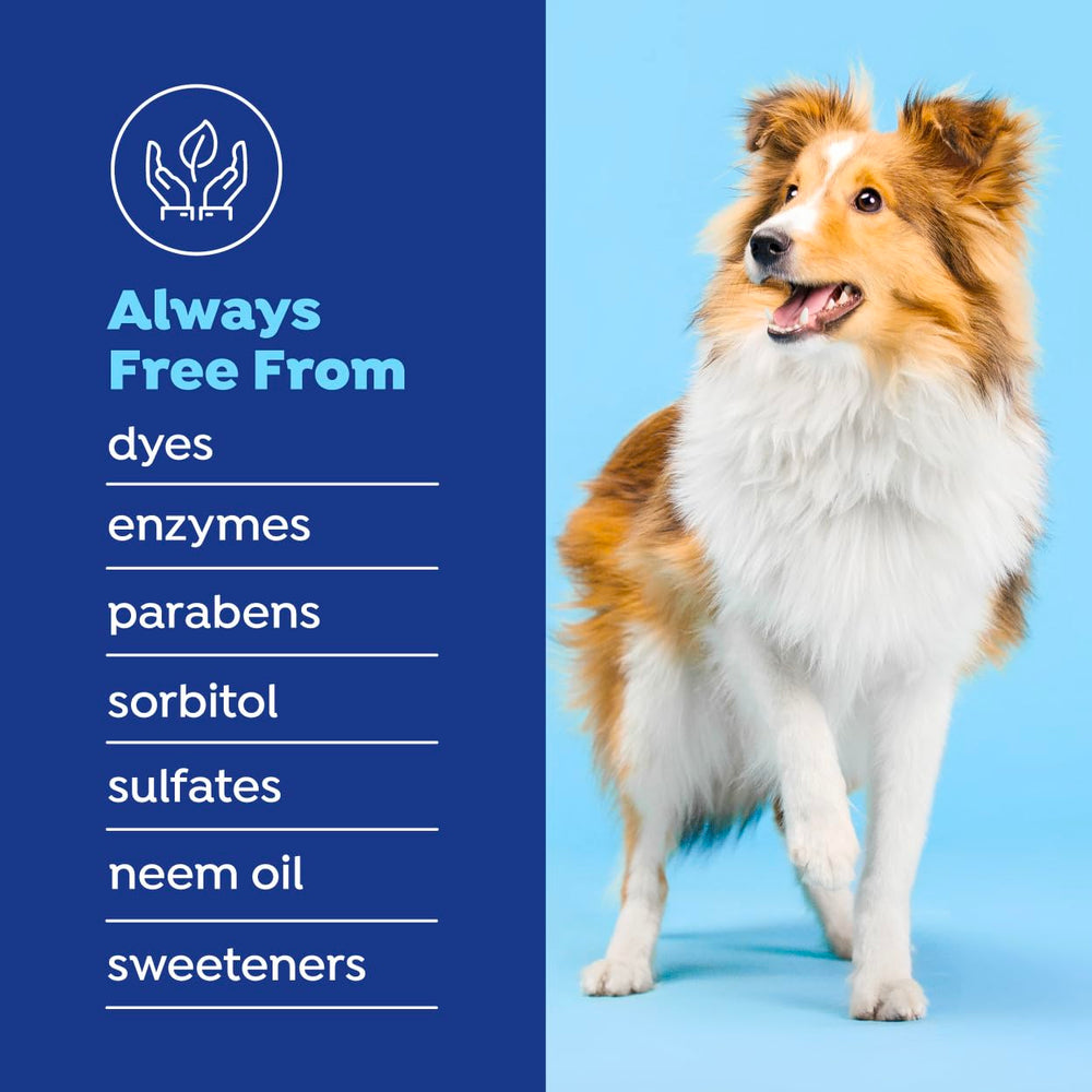 Naturel Promise Fresh Dental dog using the water additive in the bowl
