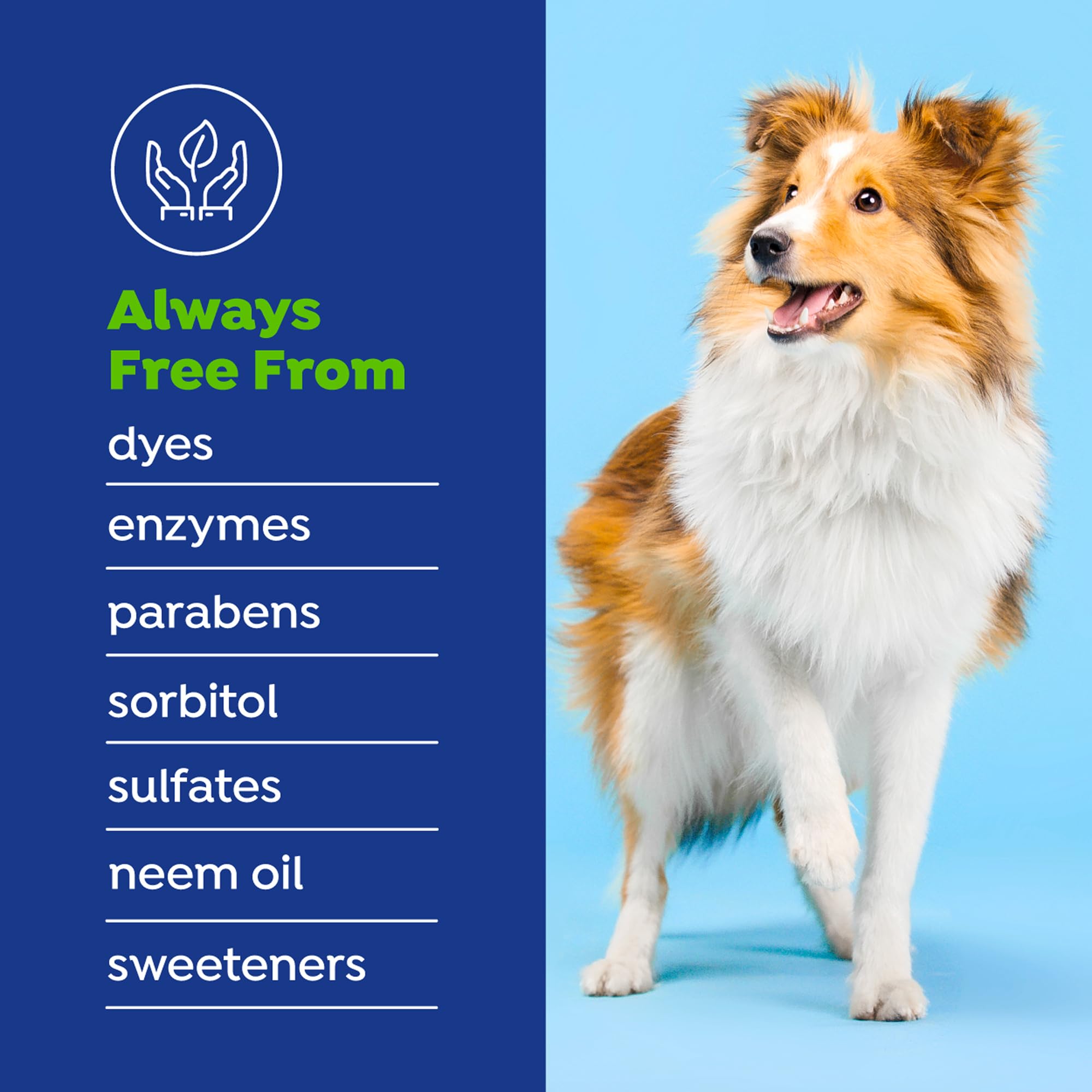 Naturel Promise VOHC accepted badge close-up signaling veterinary acceptance.