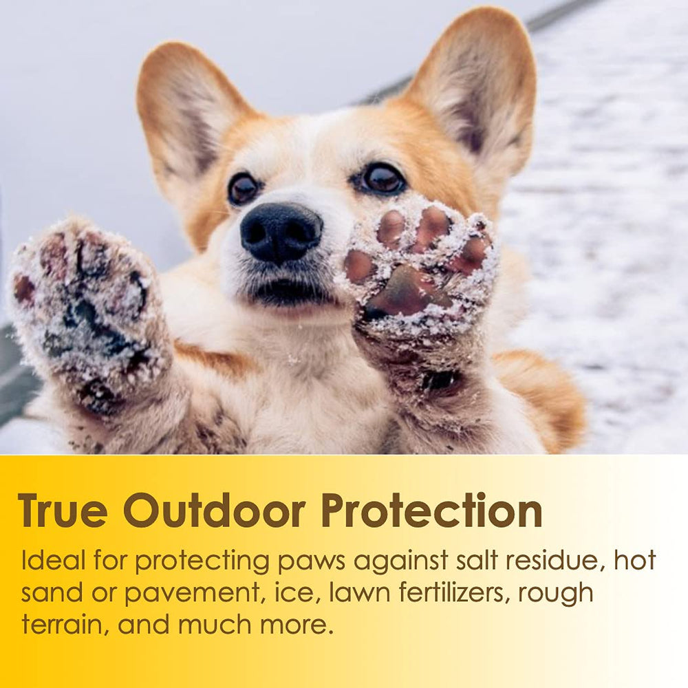 Applying Natureland paw wax to a dog's paw forming a protective layer.