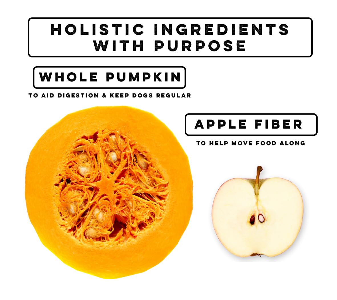 Nature's Diet pumpkin powder puree mix demonstrates easy-to-prepare puree for dogs
