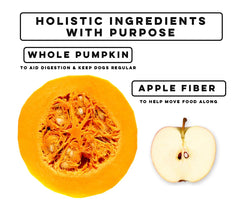 Nature's Diet pumpkin powder puree mix demonstrates easy-to-prepare puree for dogs
