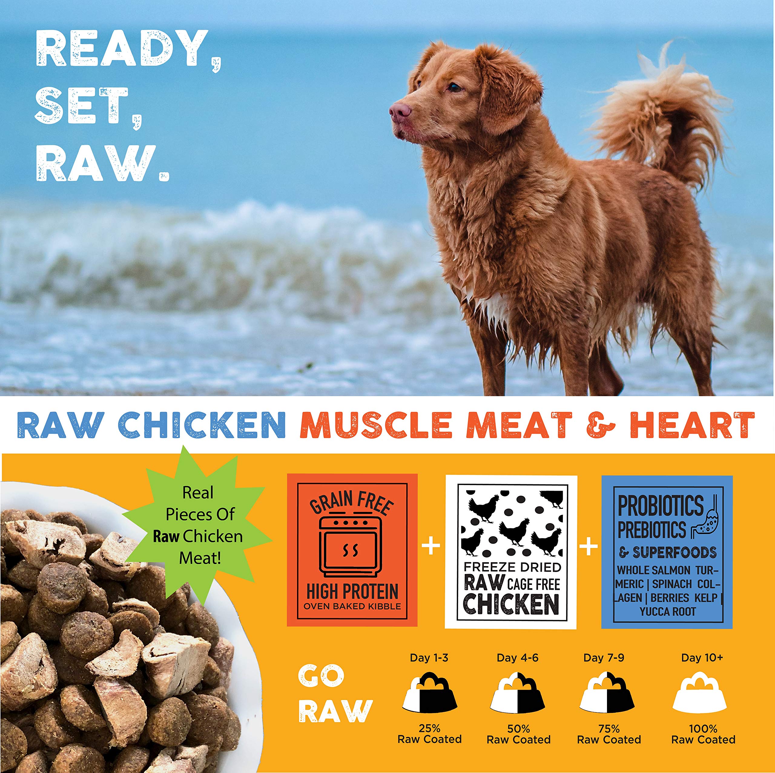 Nature's Diet Raw Mix probiotics icon signaling gut-friendly benefits