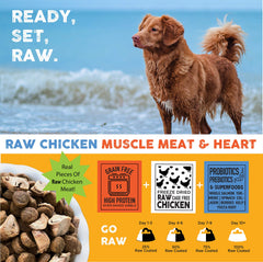 Nature's Diet Raw Mix probiotics icon signaling gut-friendly benefits