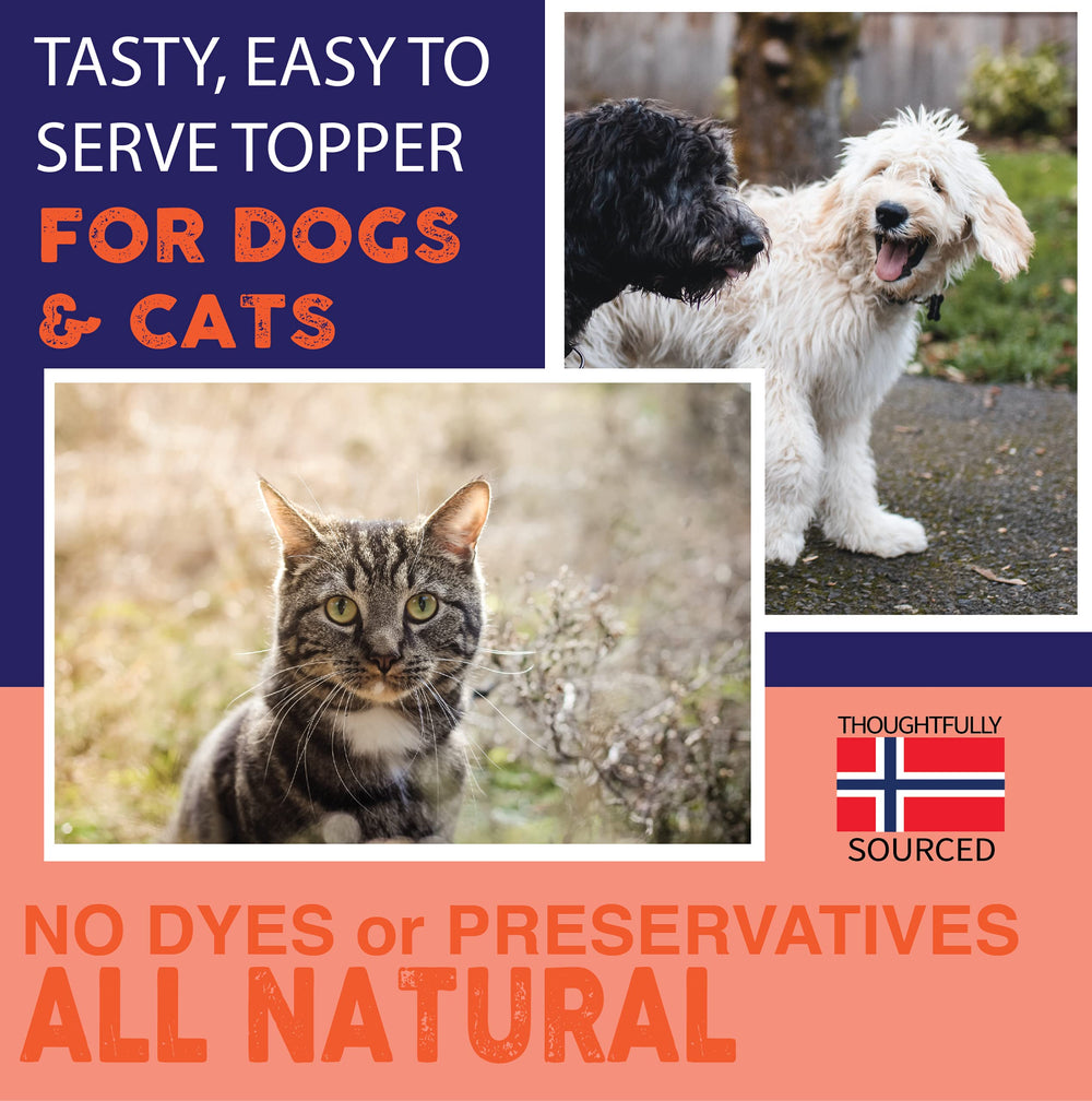 Nature's Diet salmon oil promotes coat shine and skin health.