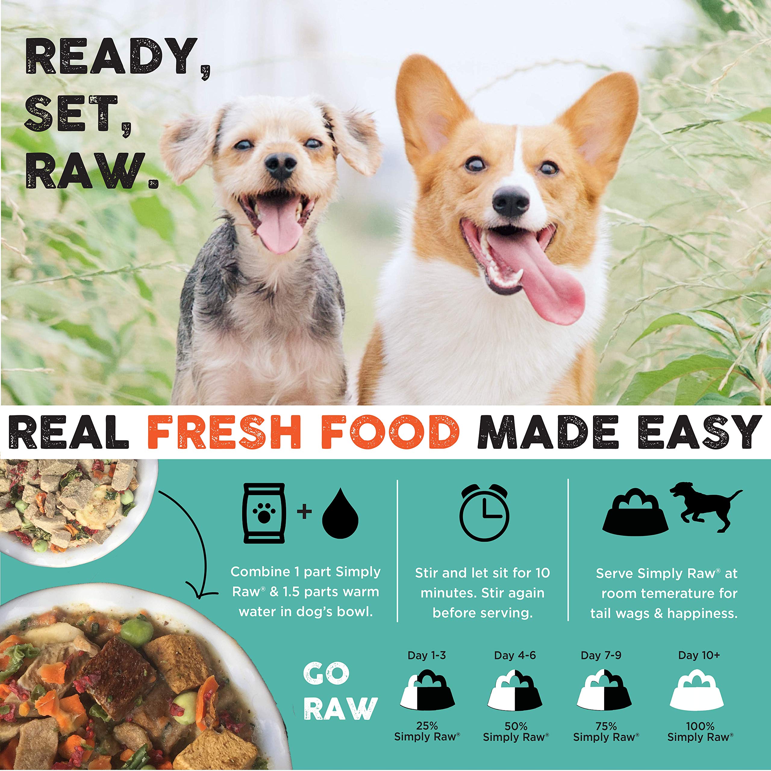 Nature's Diet Simply Raw omega-3 probiotics image illustrates gut-friendly nutrition.