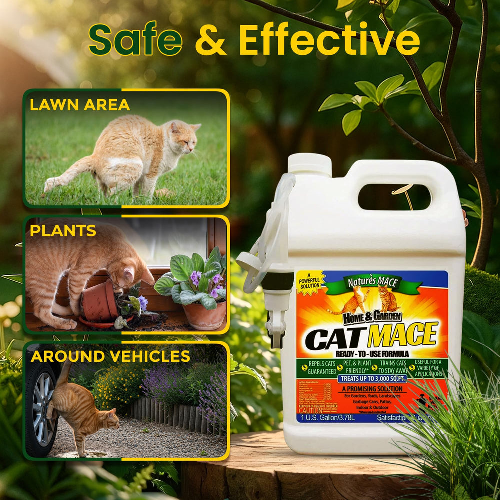 Nature's MACE spray remains effective after rainfall with reapplication