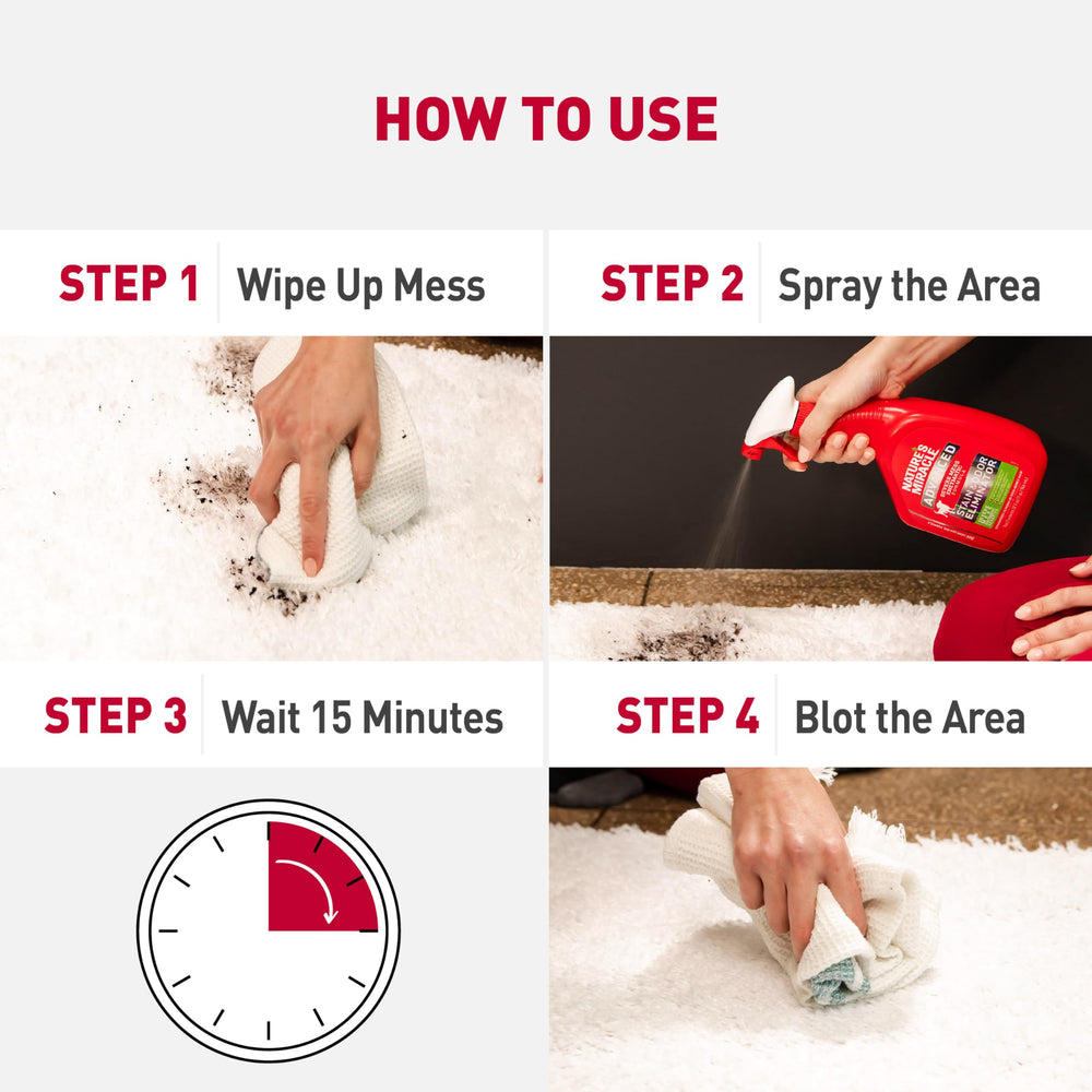 Nature’s Miracle on carpet area demonstrating odor control and stain cleanup.