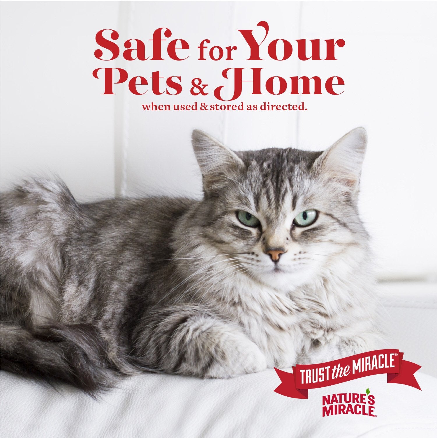 Nature's Miracle Advanced Stain & Odor Eliminator used on carpets to remove odors